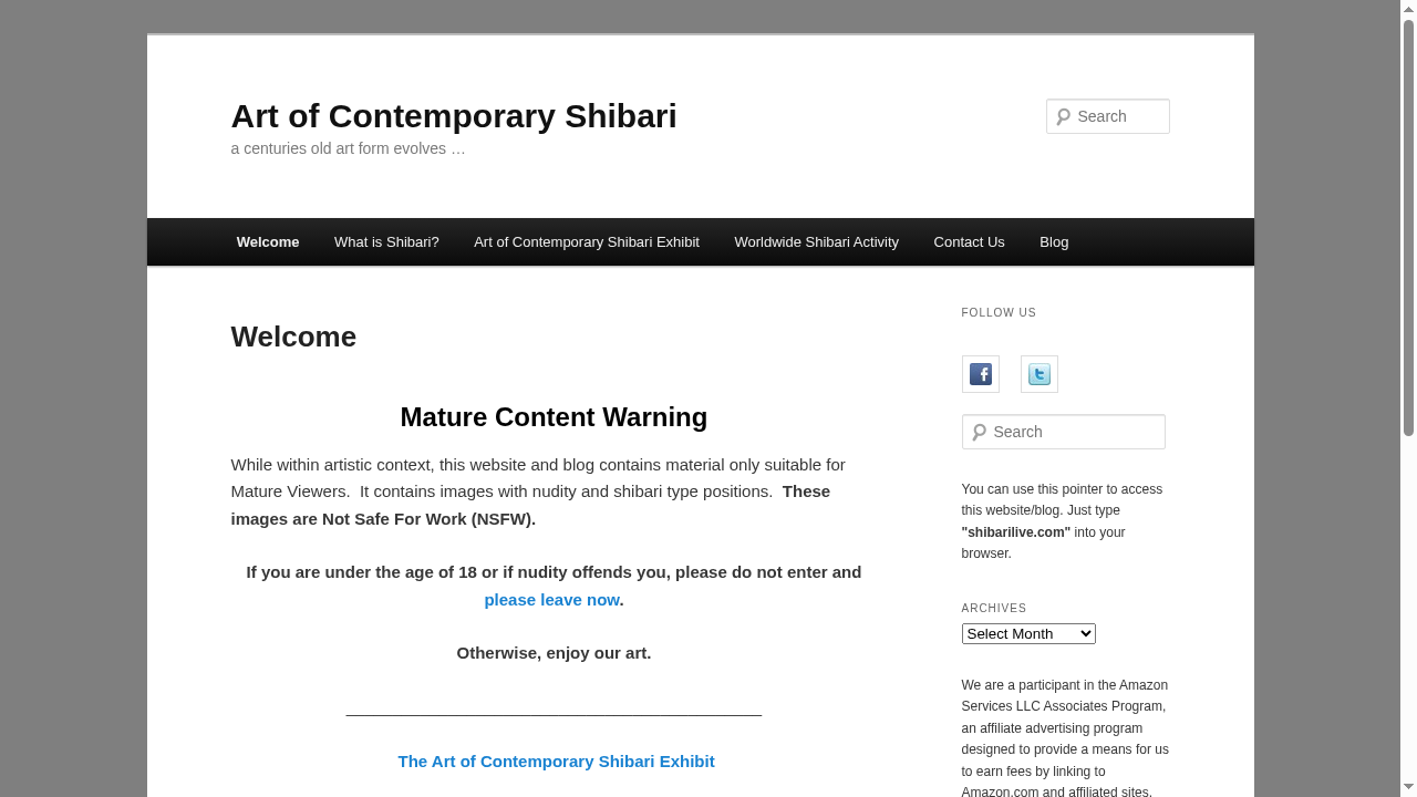 artofcontemporaryshibari.com