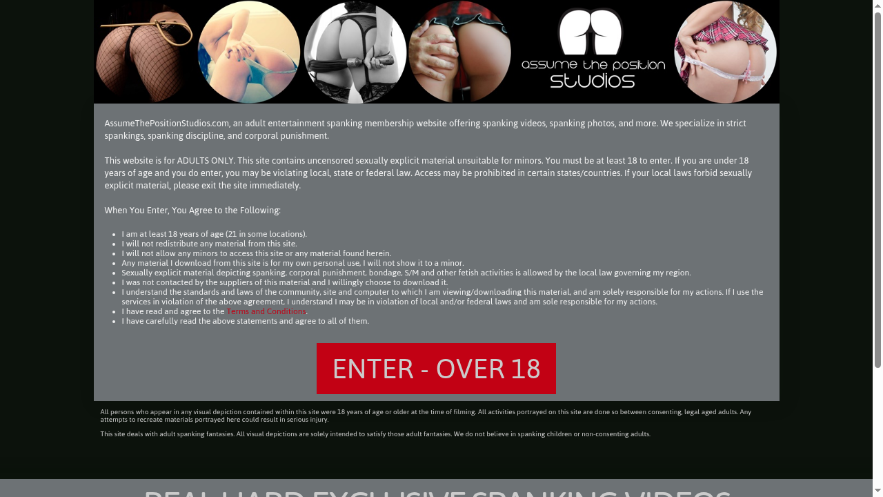 assumethepositionstudios.com