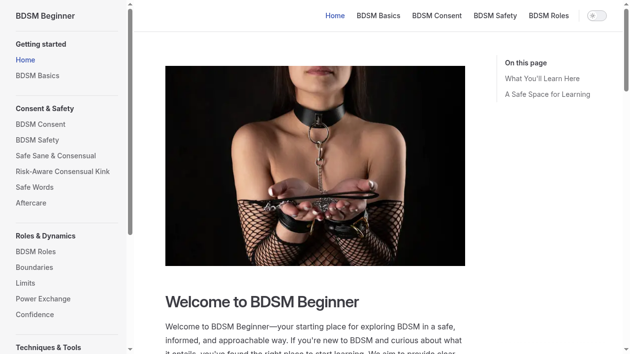 bdsmbeginner.com