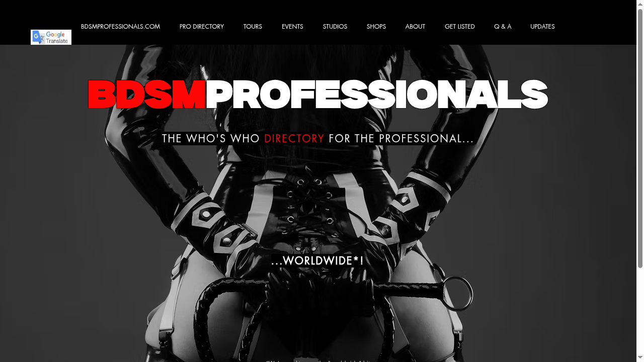 bdsmprofessionals.com