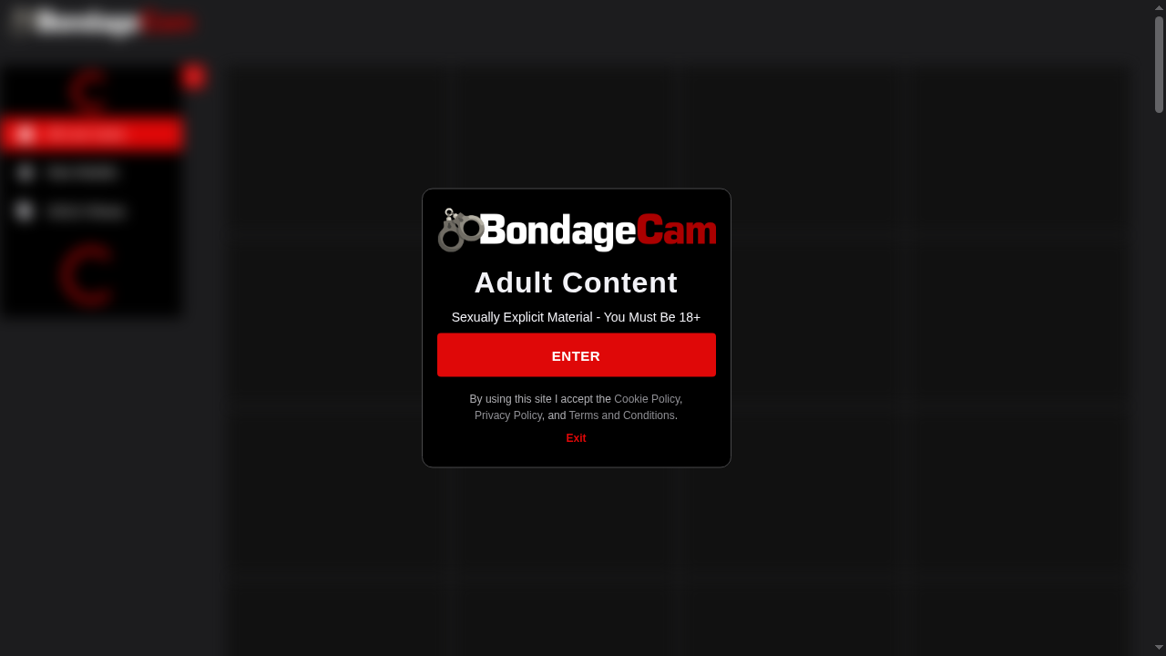 bondagecam.com