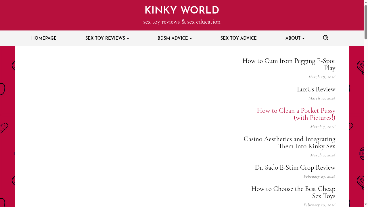 kinky-world.net