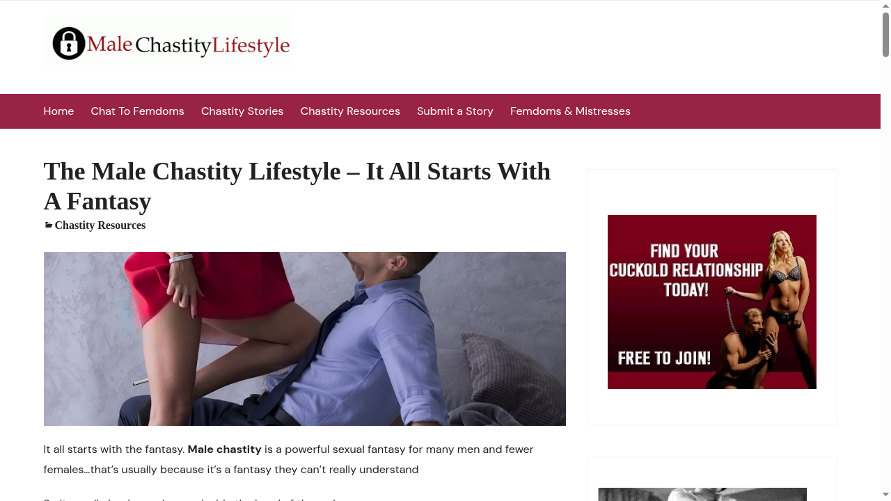 malechastitylifestyle.net
