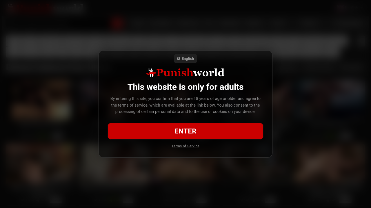 punishworld.com