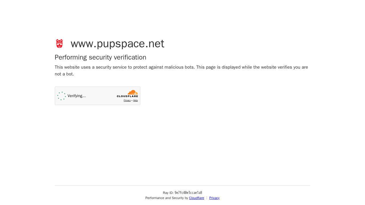 pupspace.net