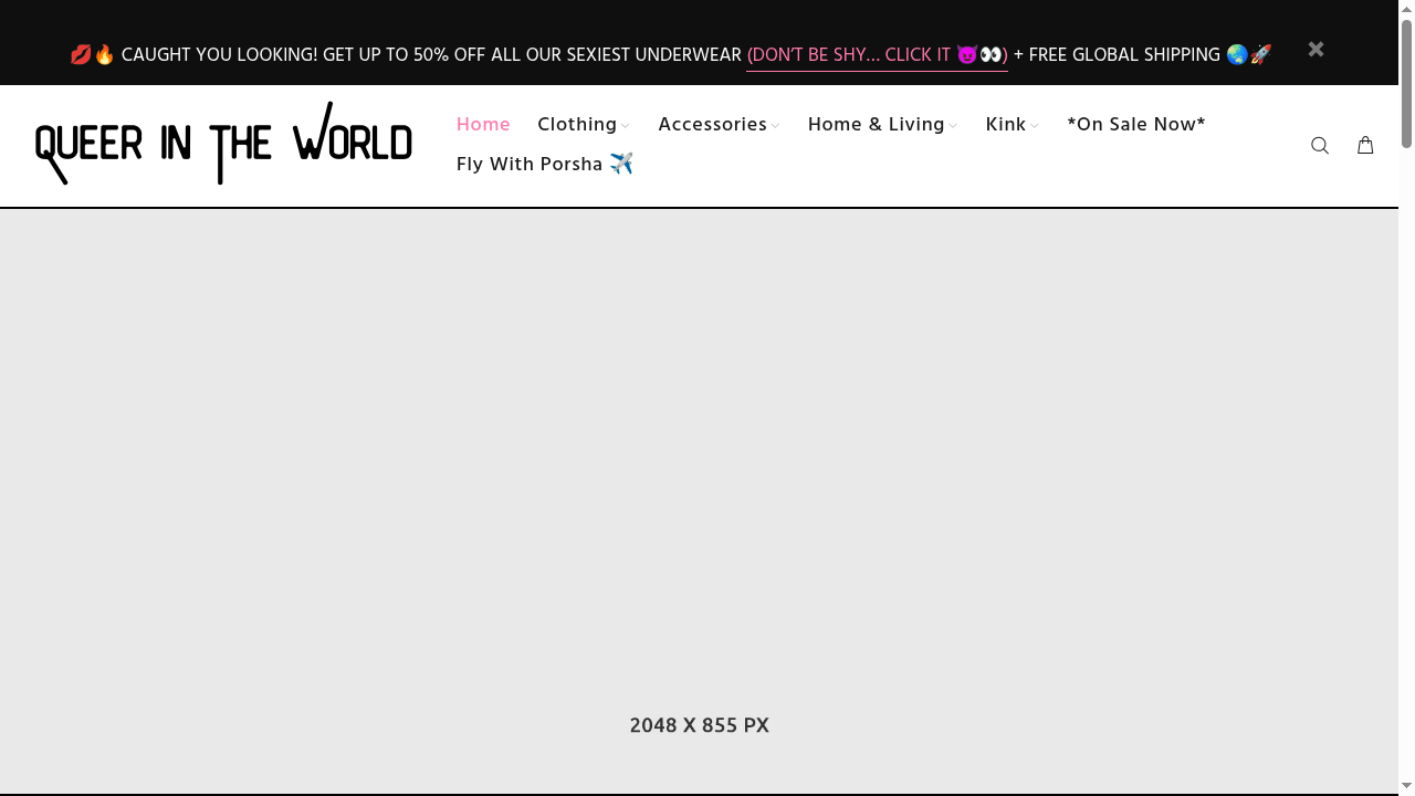 queerintheworldshop.com