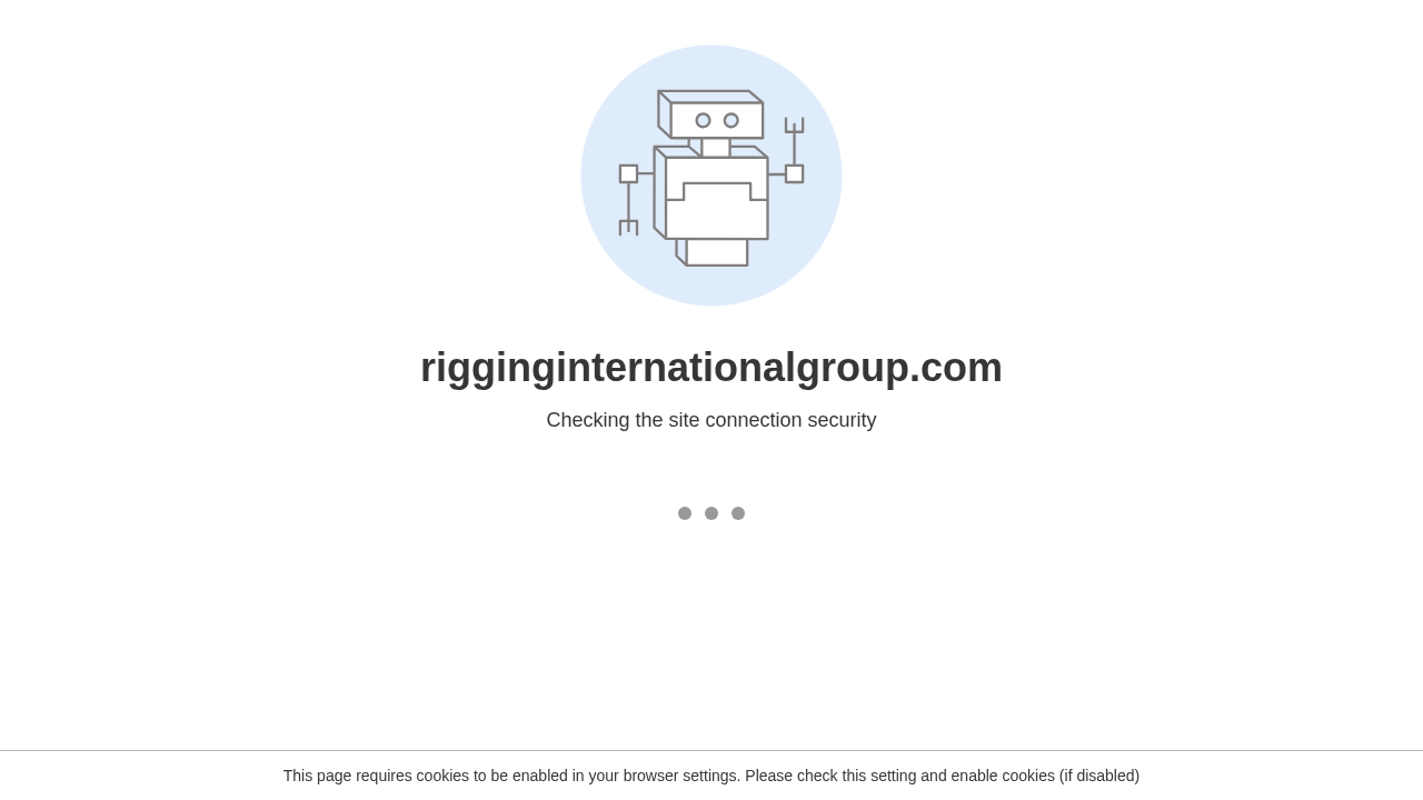 rigginginternationalgroup.com
