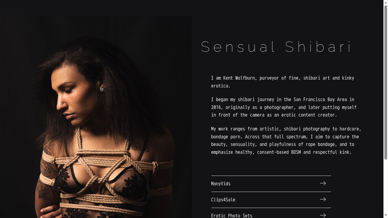 sensualshibari.co