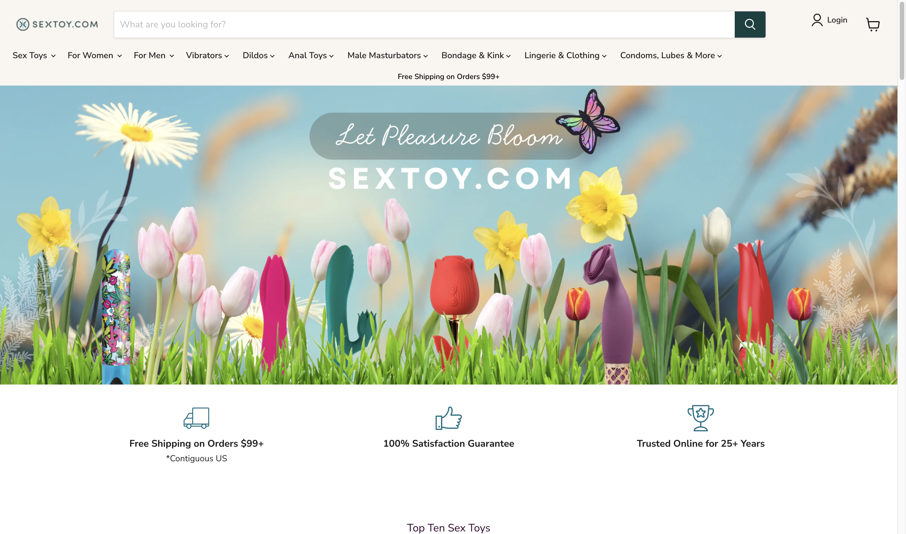 sextoy.com