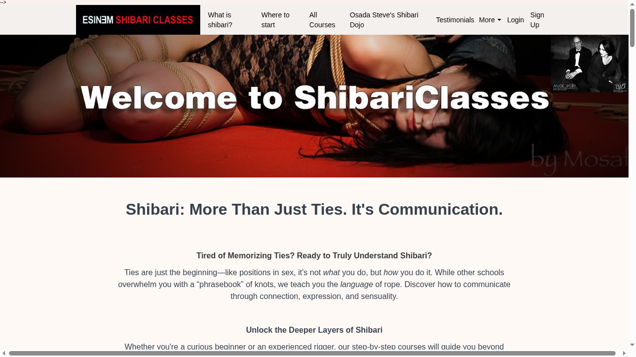 shibariclasses.com