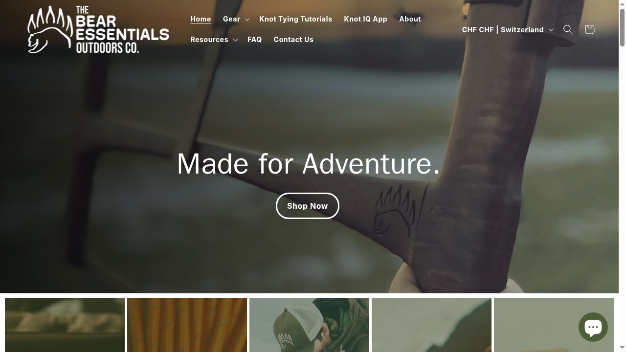 thebearessentials.com