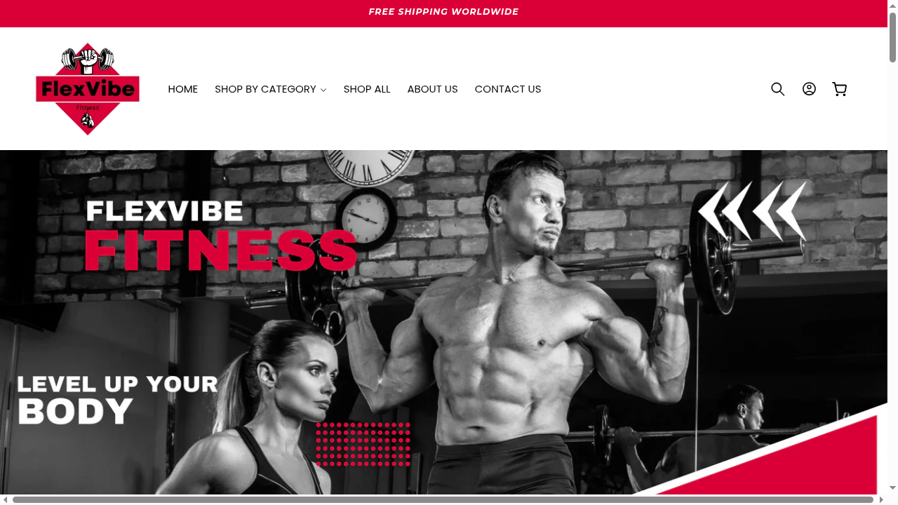 theflexvibefitness.com