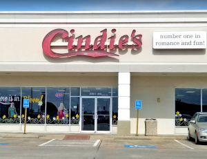 Cindie's - Webster (20801 Gulf Fwy Ste 50 Webster)