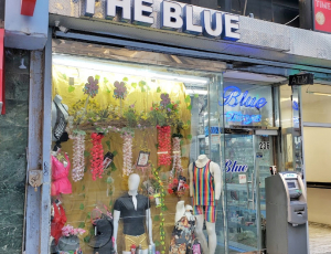 The Blue Store